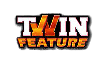 twin feature
