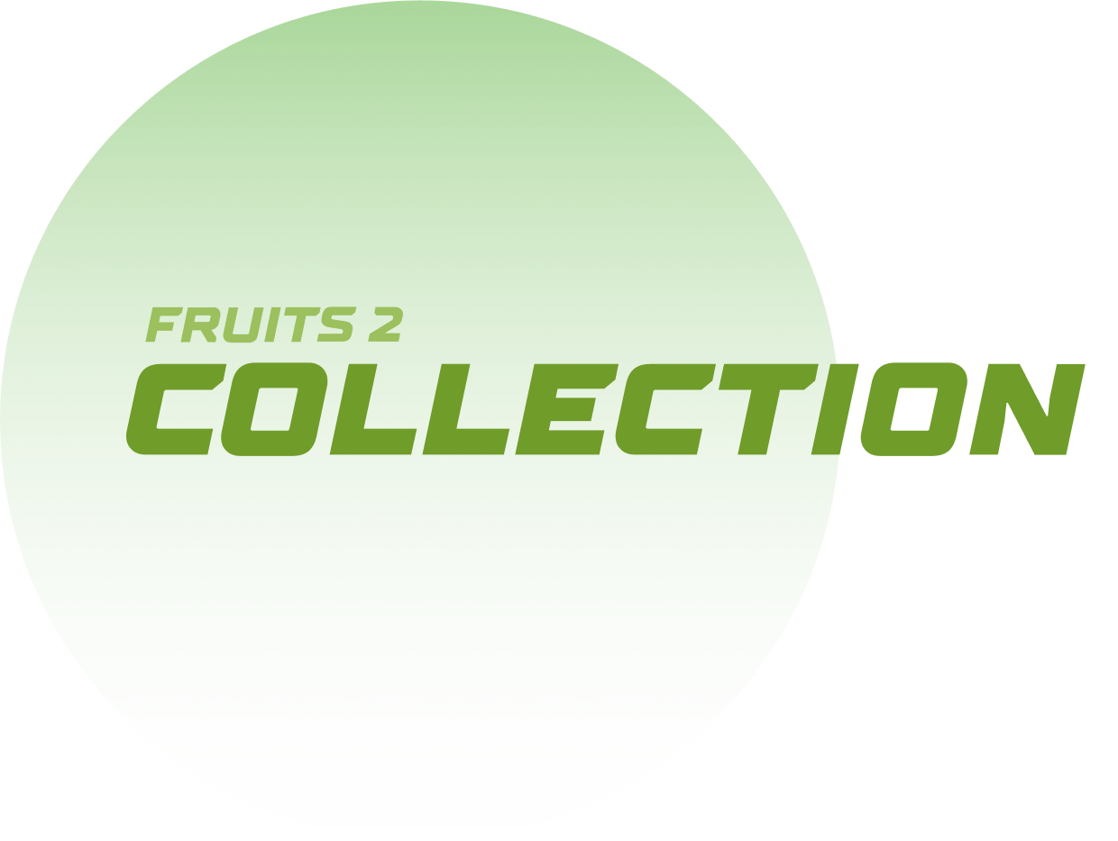 collection fruits 2 d